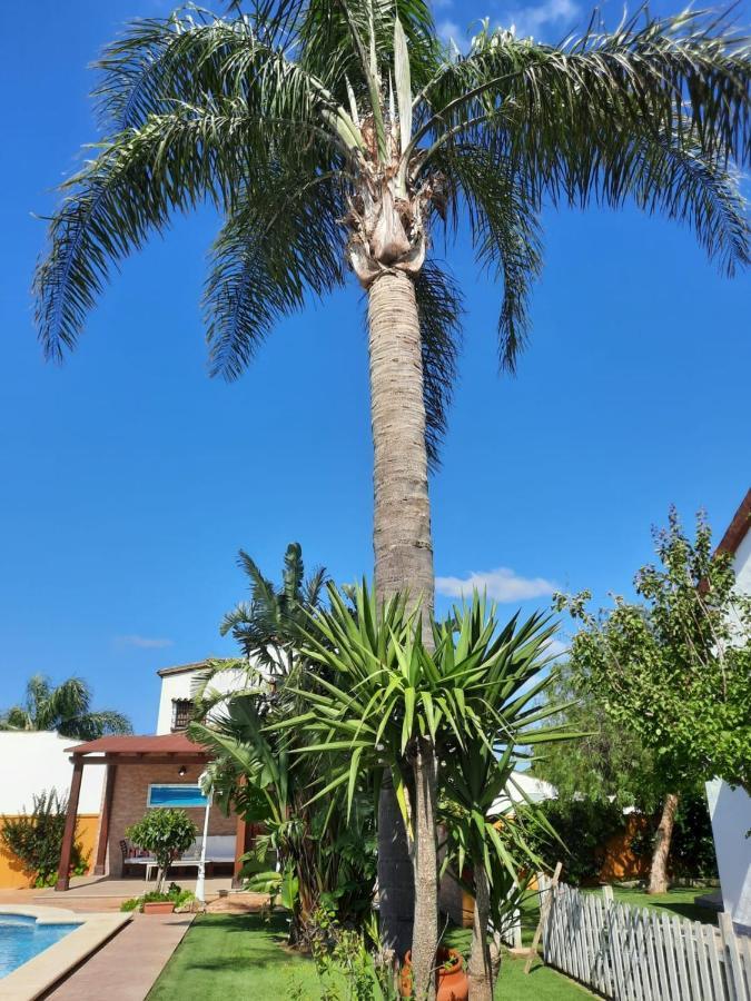 Chalet La Huerta Con Piscina Y Wifi Conil De La Frontera Exterior foto