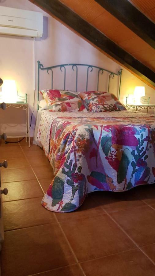 Chalet La Huerta Con Piscina Y Wifi Conil De La Frontera Exterior foto